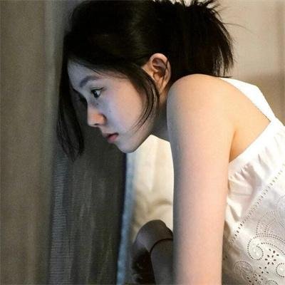 哈莱姆的郁金香